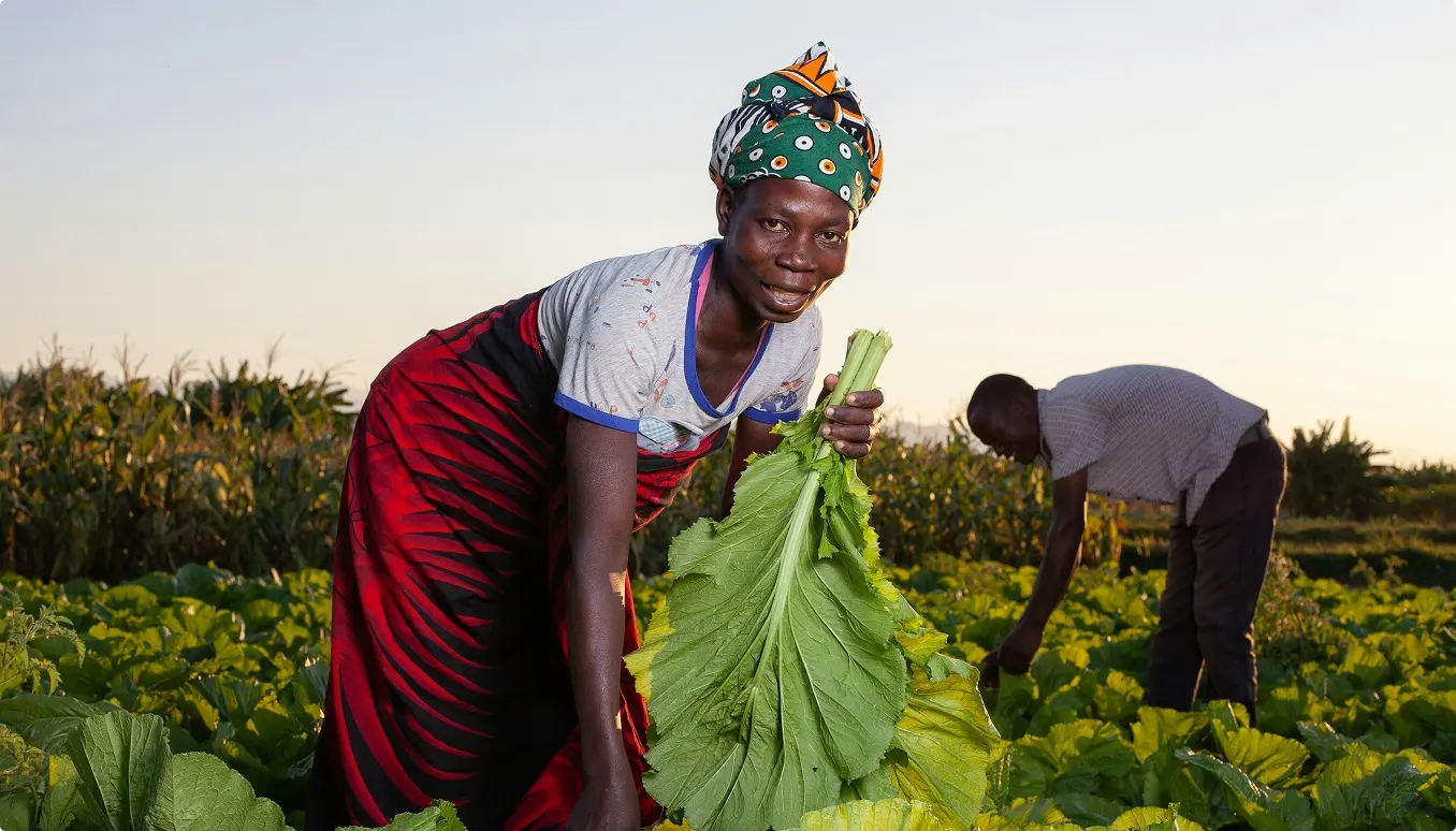 Agribusiness and sustainable production