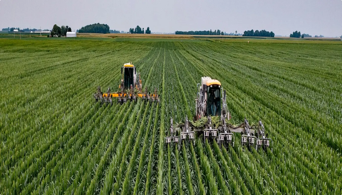 Agribusiness and sustainable production