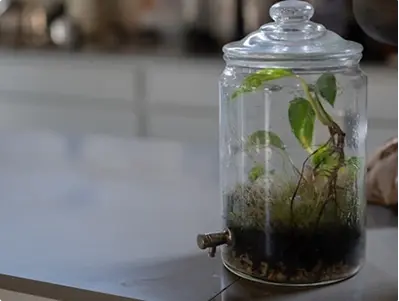 Science-Backed Strategies